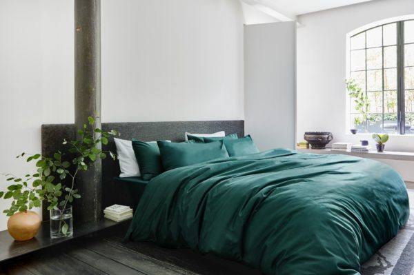 Move-in Set | Green - Image 2